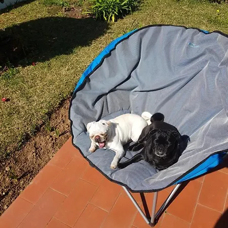 Beachwalk Alojamento de Acomodação e Pequeno-almoço Esmoriz