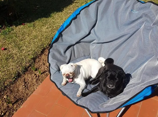 Beachwalk 住宿加早餐酒店 伊斯莫里兹