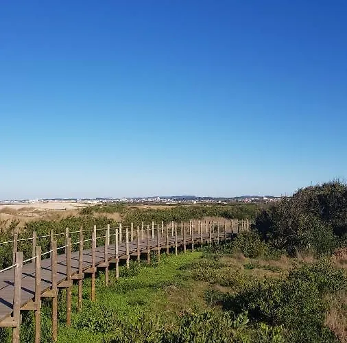 住宿加早餐酒店 Beachwalk
