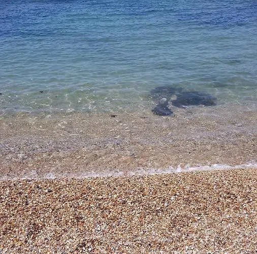 Beachwalk 住宿加早餐酒店 *